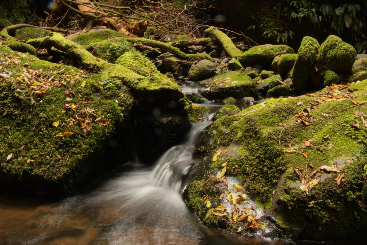 Landscape photography